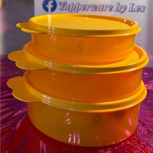 Tupperware Bright Orange Bowl Set